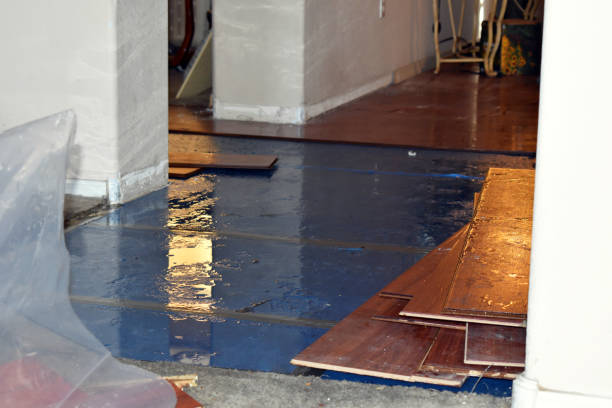 Professional Water Damage Restoration technician working in Gardendale, TX